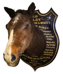 horse head mounted on a plaque